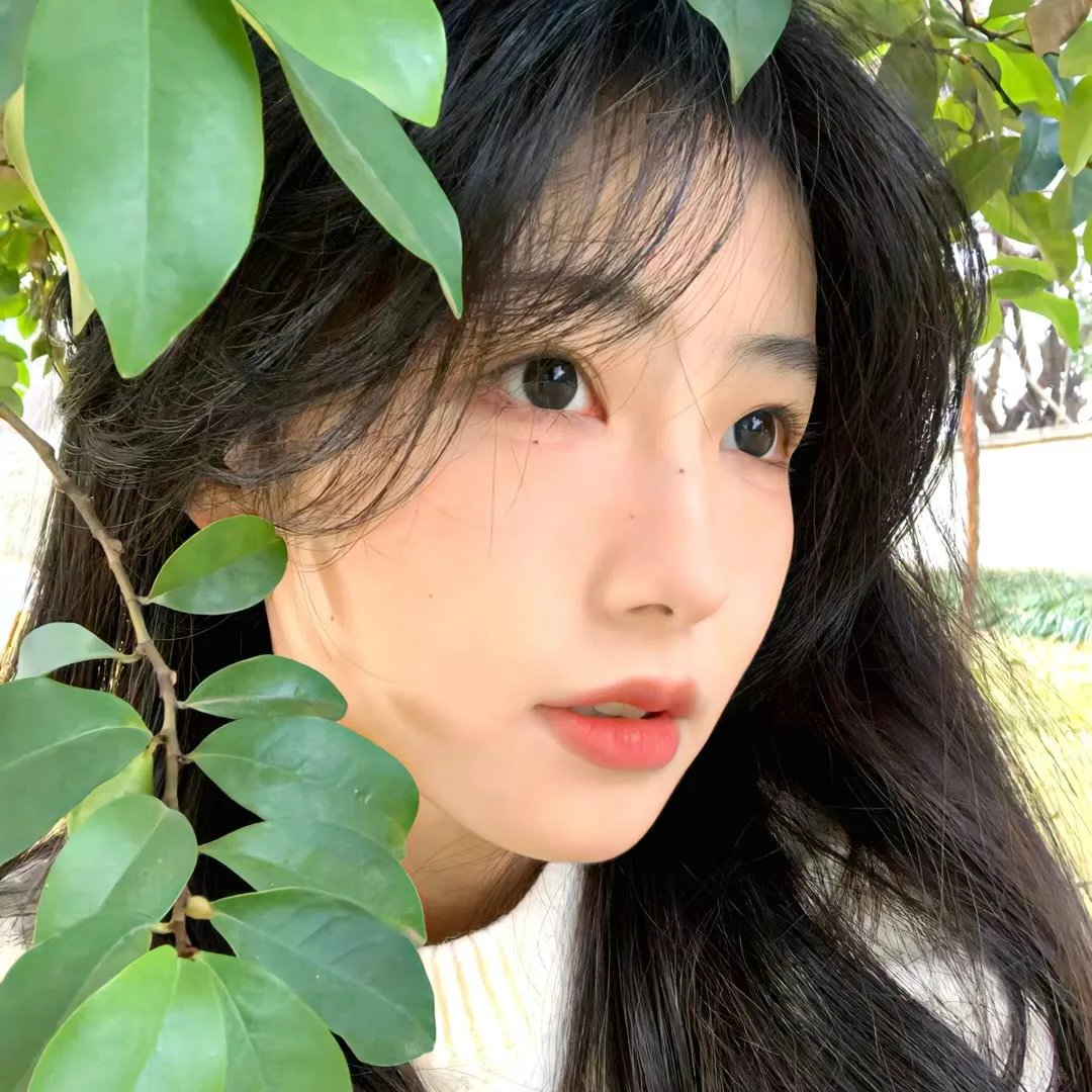 炼情局中局